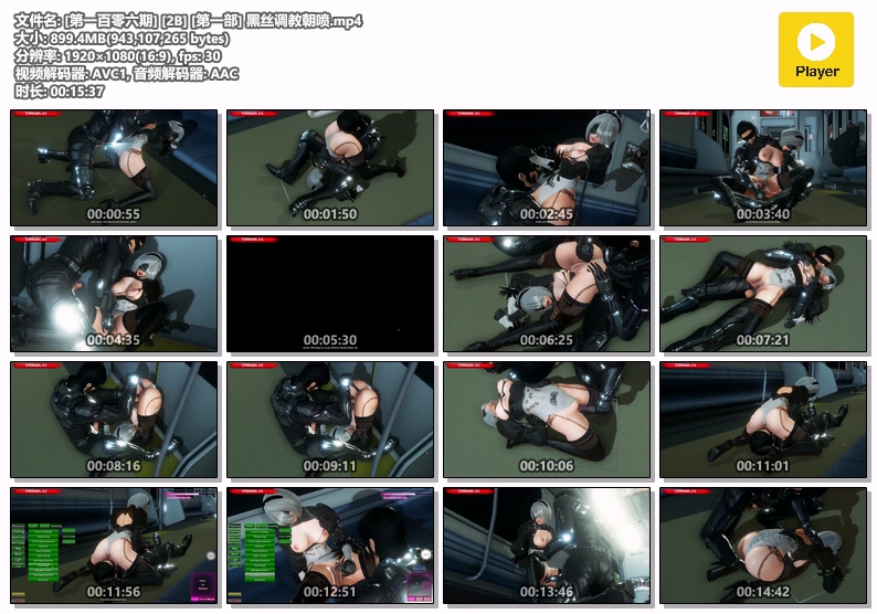 图片[1]-[106] VAM-2B [第一部] 黑丝调教朝喷-晚漫-共享AI国漫精致绘画AI高清视频